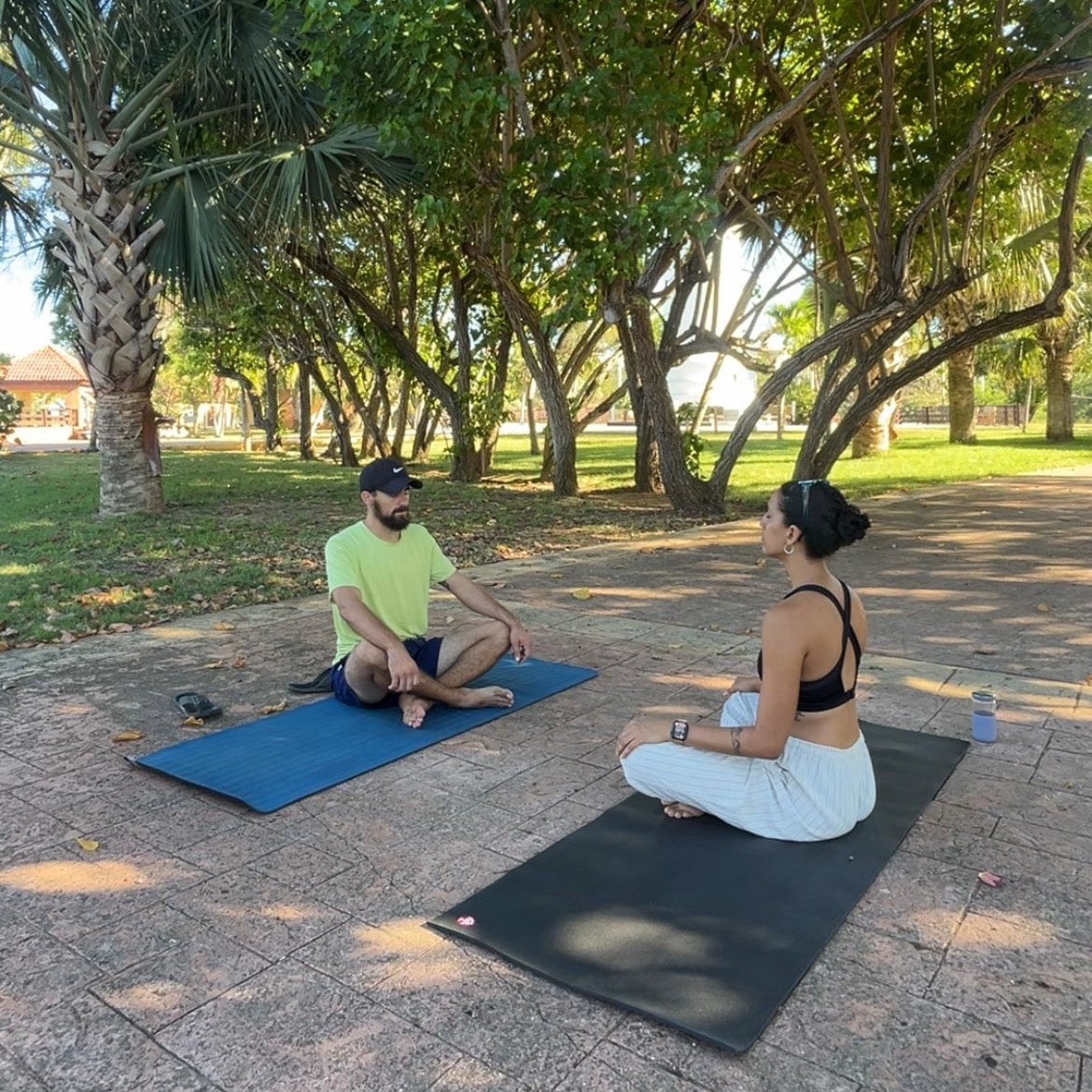 Two people practicing yoga on mats in a park with trees and clear sky.